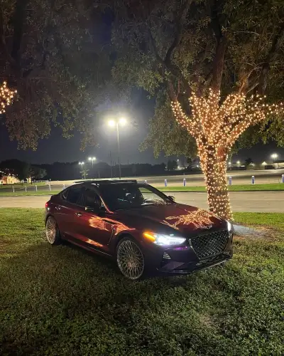   Ravoony Plus Ultra Gloss Metal Paint Grape Purple Vinyl Wrap review Davion 01