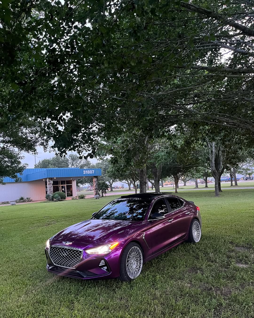   Ravoony Plus Ultra Gloss Metal Paint Grape Purple Vinyl Wrap review Davion 05