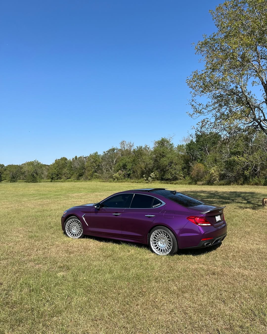   Ravoony Plus Ultra Gloss Metal Paint Grape Purple Vinyl Wrap review Davion 04