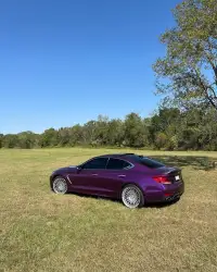   Ravoony Plus Ultra Gloss Metal Paint Grape Purple Vinyl Wrap review 4