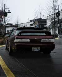 Ravoony Plus Gloss Black Rose Vinyl Wrap review 1