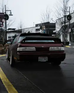 Ravoony Plus Gloss Black Rose Vinyl Wrap review Kurt C. 02