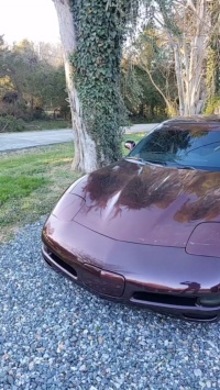Ravoony Plus Gloss Black Rose Vinyl Wrap review snakeman