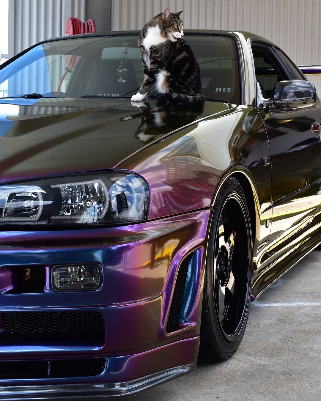 Ravoony Plus Gloss Flowing Phantom Purple Chameleon Wrap review m.w.parker 03