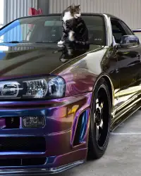 Ravoony Plus Gloss Flowing Phantom Purple Chameleon Wrap review 2