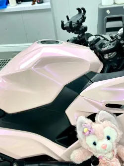 Ravoony Plus Twin Magic Pink Car Vinyl Wrap review Fiona 01