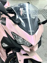 Ravoony Plus Twin Magic Pink Car Vinyl Wrap review 1