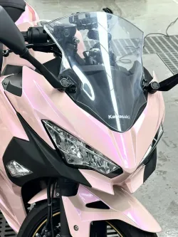 Ravoony Plus Twin Magic Pink Car Vinyl Wrap review Fiona 02