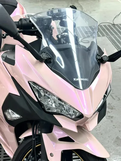 Ravoony Plus Twin Magic Pink Car Vinyl Wrap review Fiona 01