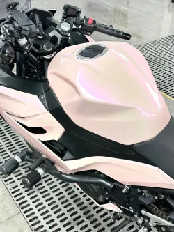Ravoony Plus Twin Magic Pink Car Vinyl Wrap review Fiona 03
