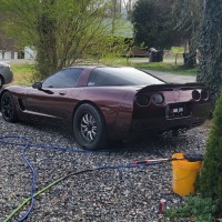 Ravoony Plus Gloss Black Rose Vinyl Wrap review 0