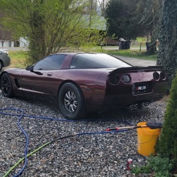 Ravoony Plus Gloss Black Rose Vinyl Wrap review snakeman 01