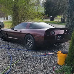Ravoony Plus Gloss Black Rose Vinyl Wrap review snakeman 01