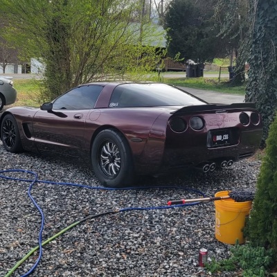 Ravoony Plus Gloss Black Rose Vinyl Wrap review snakeman 00