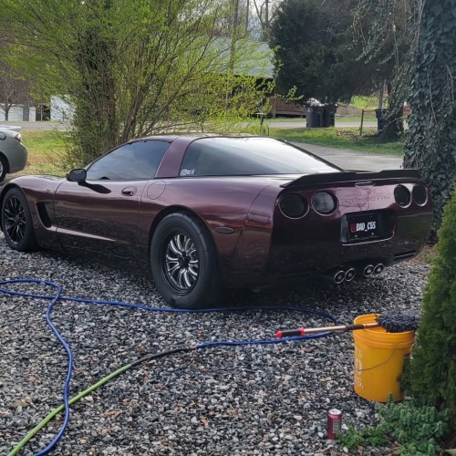 Ravoony Plus Gloss Black Rose Vinyl Wrap review 