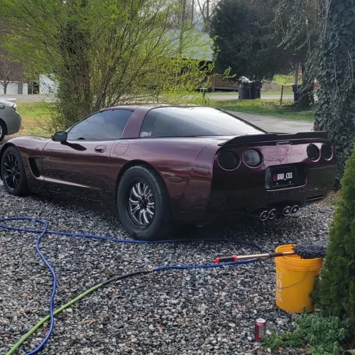 Ravoony Plus Gloss Black Rose Vinyl Wrap review 