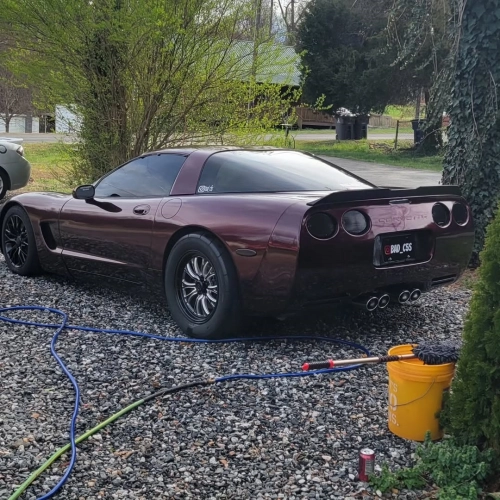 Ravoony Plus PET Gloss Black Rose Vinyl Wrap review 