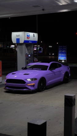 Ravoony Plus Glossy Lavender Purple Car Wrap review Anabel Lepore 02