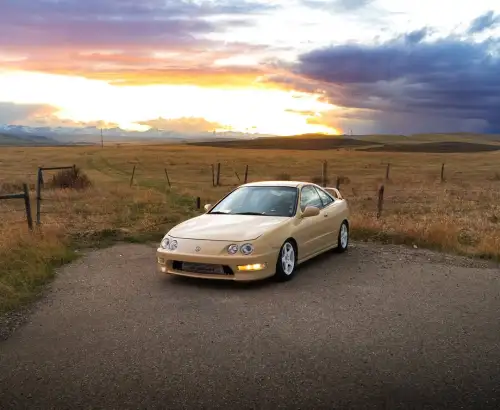 Ravoony Plus Glossy Sunbath Yellow Car Wrap review Logan Thomas