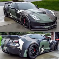 Ravoony Plus Customized Dolph Camo Wrap review 0