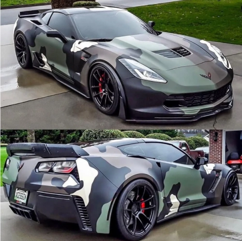 Ravoony Plus Customized Dolph Camo Wrap review 