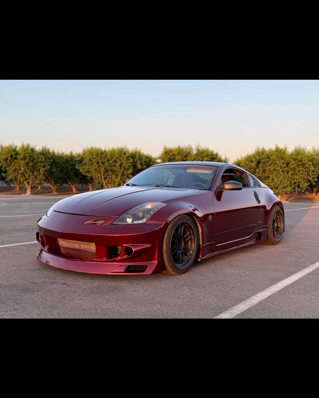 Ravoony Plus Liquid Metallic Dragon Blood Red Vinyl Car Wrap review Leo 01