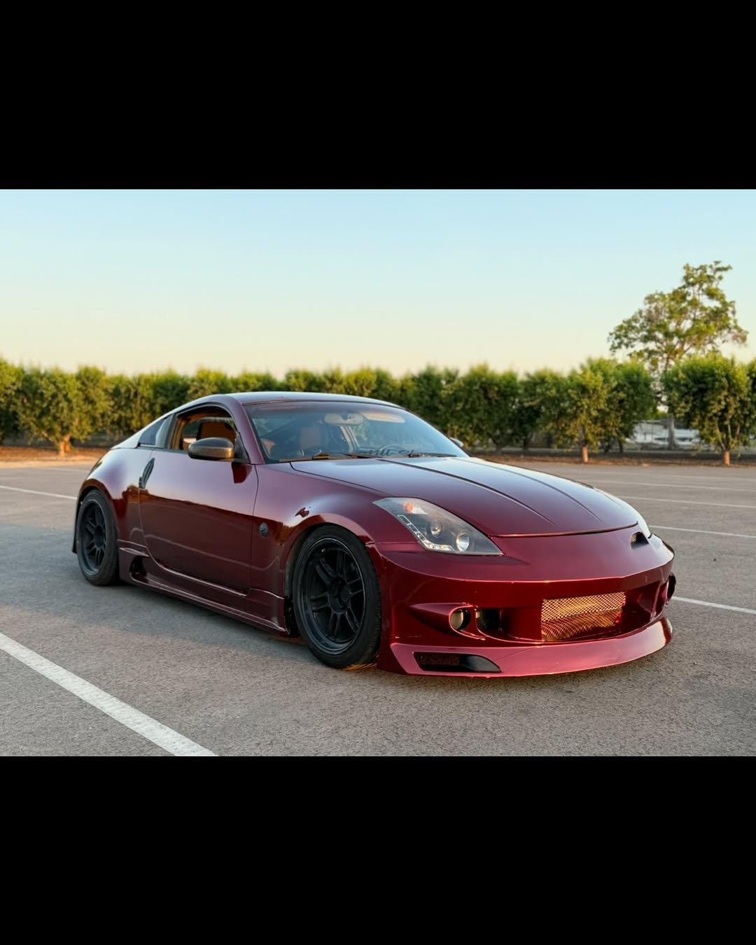 Ravoony Plus Liquid Metallic Dragon Blood Red Vinyl Car Wrap review Leo 02