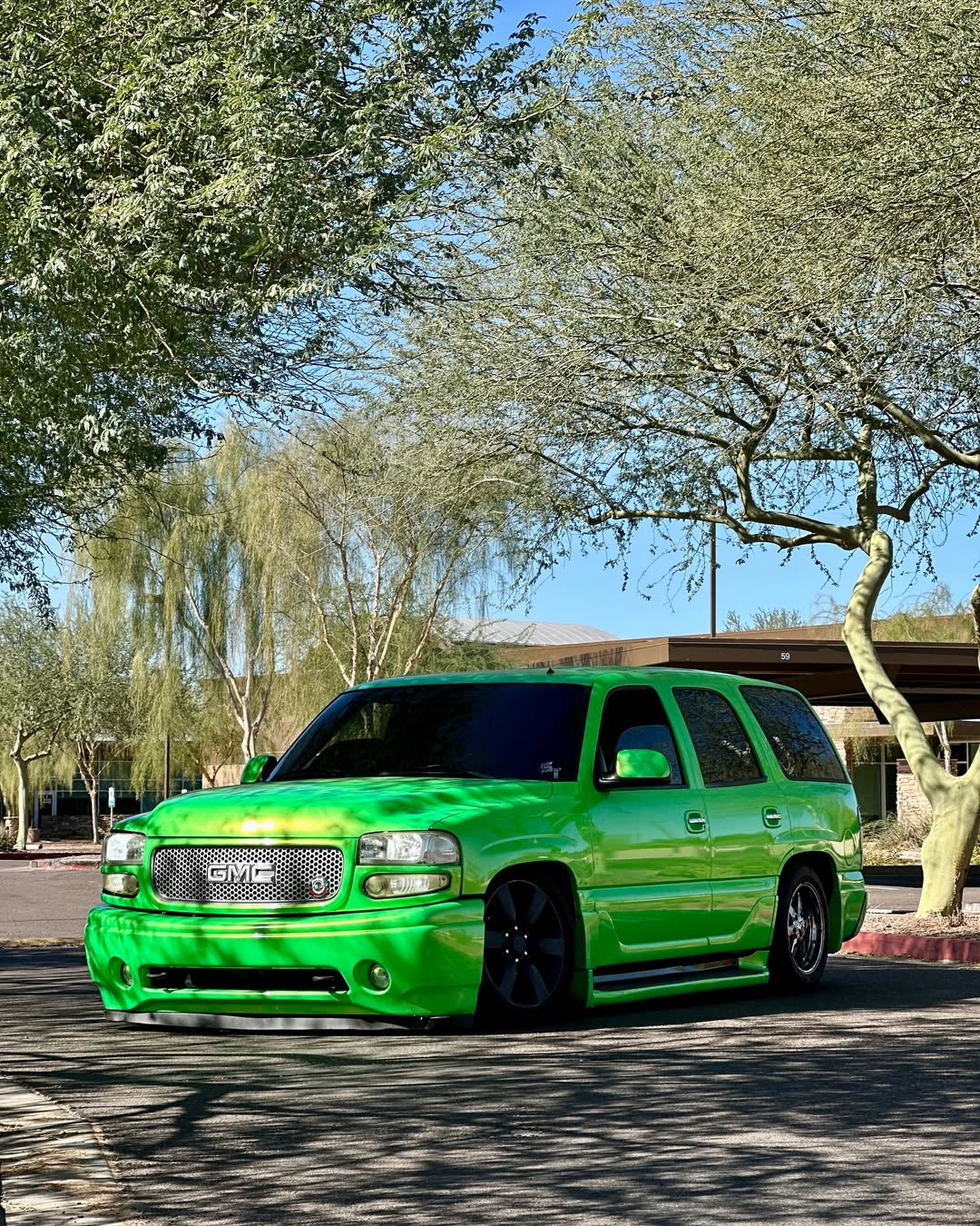 Ravoony Plus Kelly Green Vinyl Wrap review Rafael Campos 02