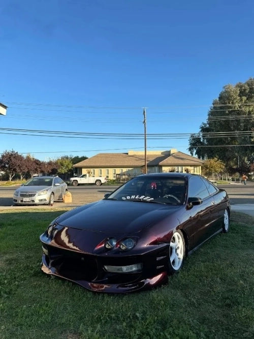 Ravoony Plus PET Gloss Black Rose Vinyl Wrap review 