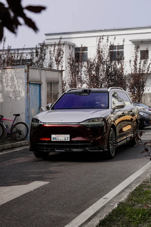 Ravoony Plus PET Gloss Black Rose Vinyl Wrap review 