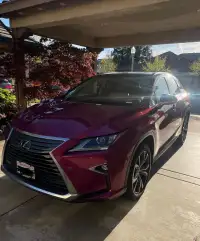 Ravoony Plus PET Gloss Glaze Pagoda Red Car Vinyl Wrap review 0