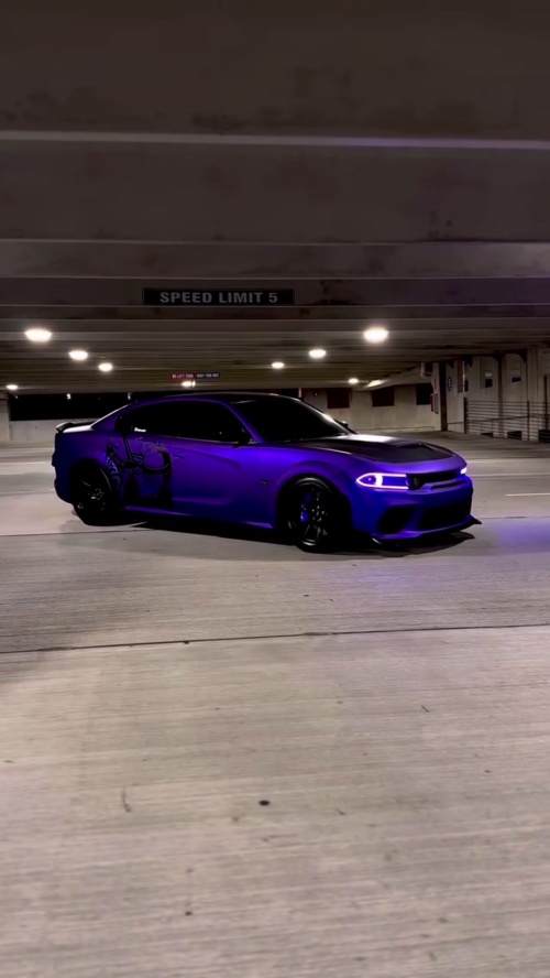 Ravoony Plus Matte Midnight Purple Chrome Wrap review 