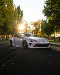 Ravoony Plus Glossy Flower Pink Car Wrap review 0