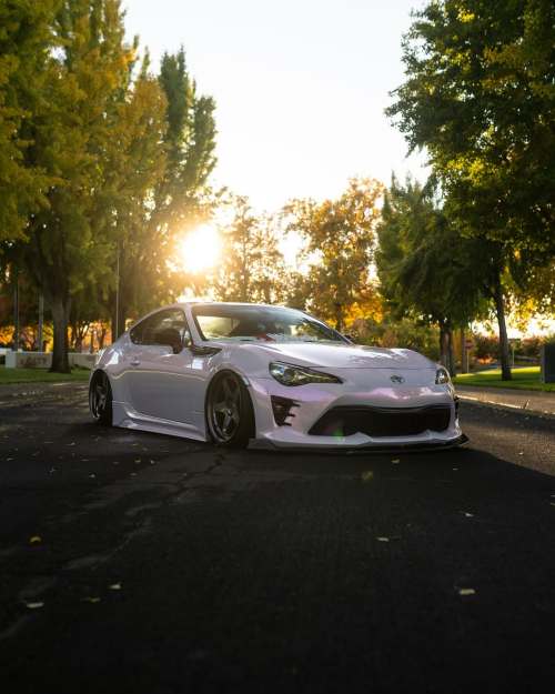 Ravoony Plus Glossy Flower Pink Car Wrap review Luminary Workz