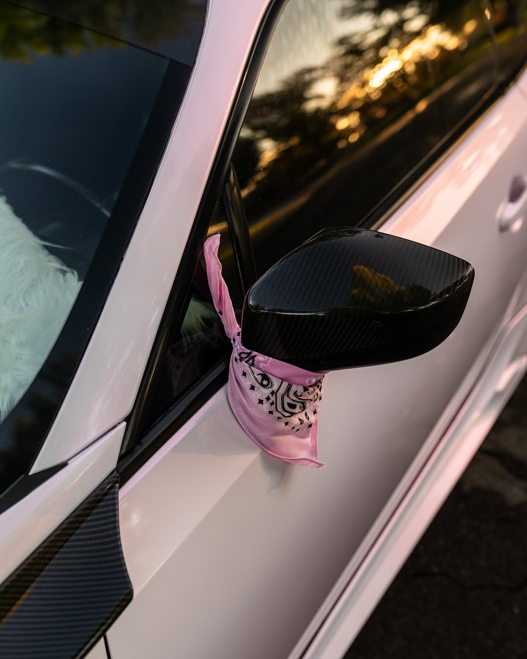 Ravoony Plus Glossy Flower Pink Car Wrap review Luminary Workz 03