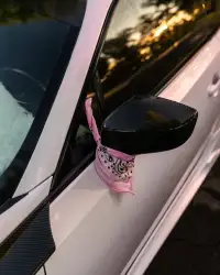 Ravoony Plus Glossy Flower Pink Car Wrap review 2