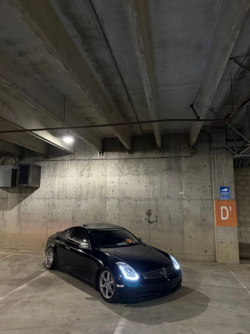 Ravoony Plus PET High Gloss Black Car Wrap review 