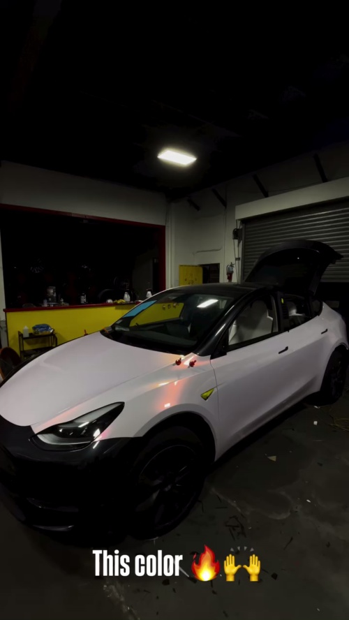 Ravoony Plus Glossy Flower Pink Car Wrap review 