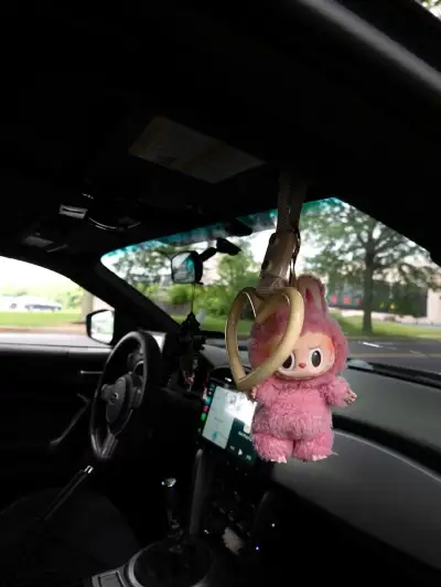 Ravoony Plus Gloss Black Rose Vinyl Wrap review slowazzbrz 03