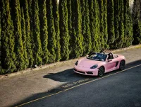 Ravoony Basic Gloss Crystal Peach Pink Car Vinyl Wrap review 1