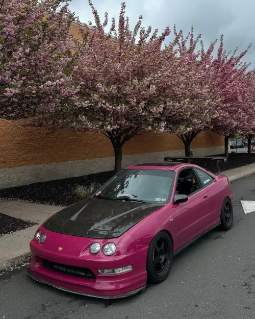 Ravoony Plus Star Ruby Car Vinyl Wrap review 