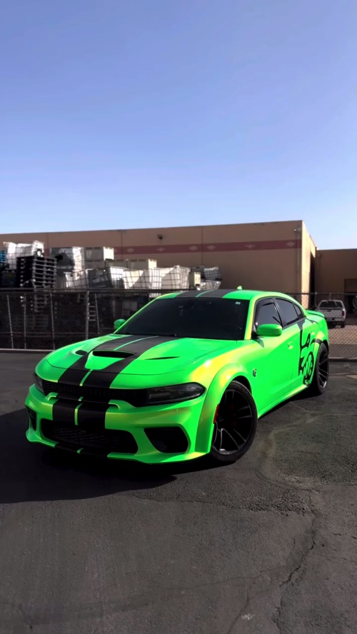 Ravoony Plus Kelly Green Vinyl Wrap review simplewrapz