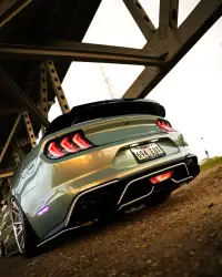  Ravoony Plus Twin Candy Green Gold Car Wrap review 2