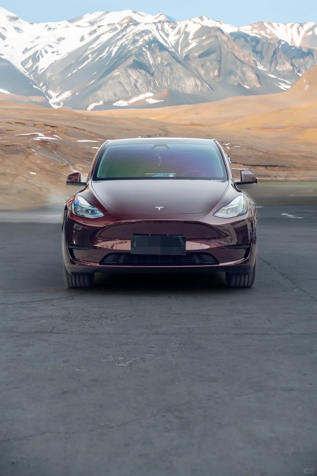 Ravoony Plus Gloss Black Rose Vinyl Wrap Tesla Model Y Wrap review Justin Pared