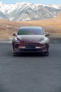 Ravoony Plus Gloss Black Rose Vinyl Wrap Tesla Model Y Wrap review 0