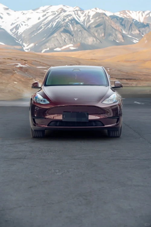 Ravoony Plus Gloss Black Rose Vinyl Wrap Tesla Model Y Wrap review 