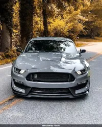 Ravoony Plus Gloss Nardo Grey Wrap review 1