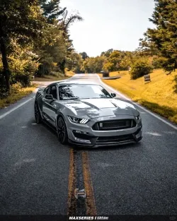 Ravoony Plus Gloss Nardo Grey Wrap review Tiny Shannon 03
