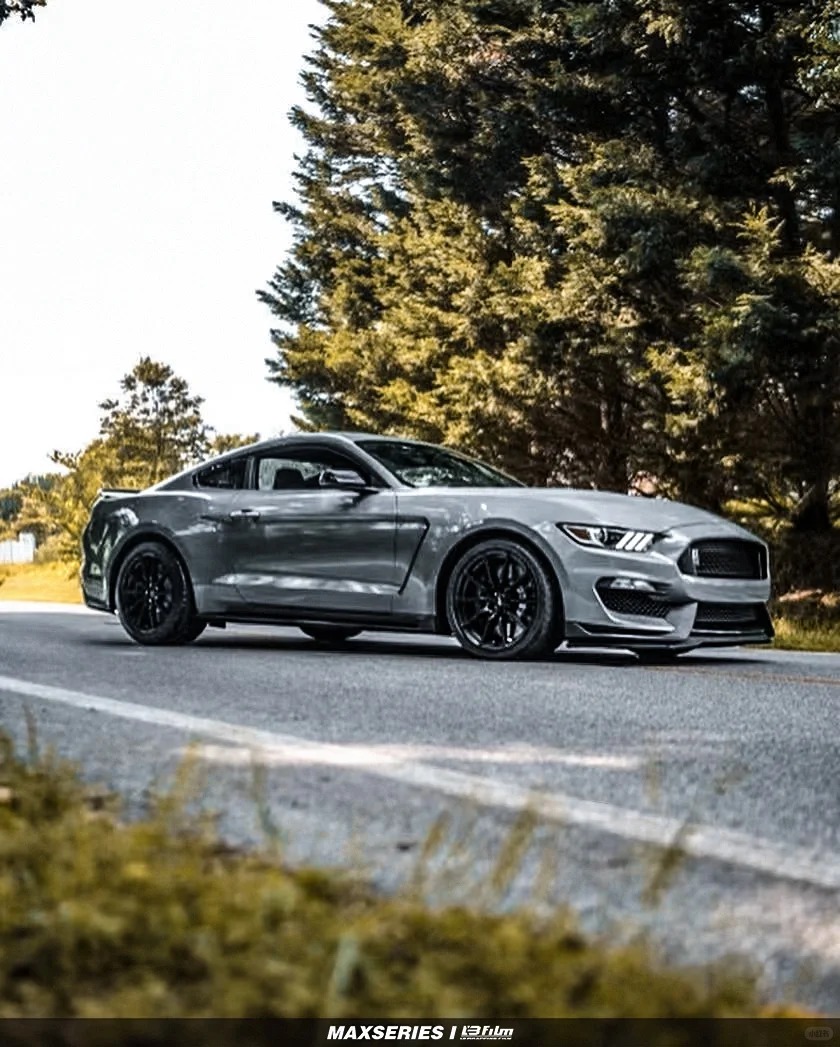 Ravoony Plus Gloss Nardo Grey Wrap review Tiny Shannon 05