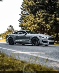 Ravoony Plus Gloss Nardo Grey Wrap review 4